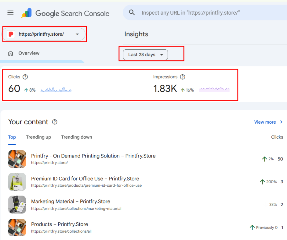 seo services in bihar